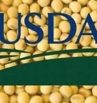 Новый баланс USDA привел к росту цен на сою