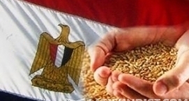 Egypt buys Argentine wheat