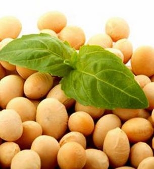 Ukraine continues rising prices for soybeans