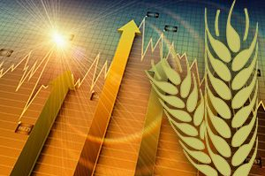 The price of wheat on the stock exchanges began to grow again