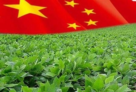Китай в 2017/18 МГ импортирует рекордный объем сои