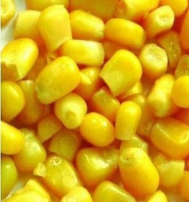 Ціни на кукурудзу виросли на 4% на новинах з США та Аргентини