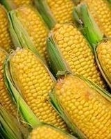 Ціни на кукурудзу залишаються під тиском ведмежих чинників