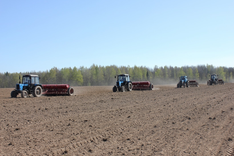 Сев озимых в Украине идет быстрее, чем в прошлом году, но из-за засухи площади сева могут сократиться