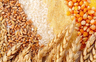 ЕС увеличит производство пшеницы и ячменя в 2017 году