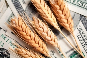 Wheat is more expensive in the US and the EU