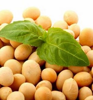 The intention of China to cancel the import duty supported the stock price of soy