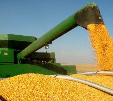 Low corn prices contribute to the growth of exports