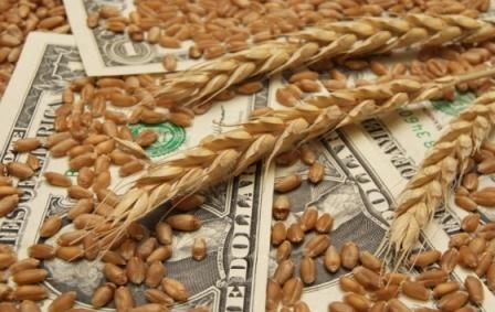 The beginning of the week was marked by a speculative increase in the price of wheat
