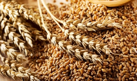 Wheat prices Monday began the decline