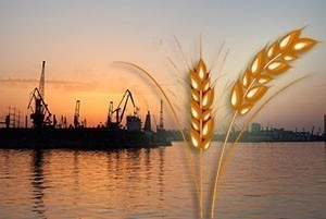 Украина наращивает экспорт зерновых и масличных культур