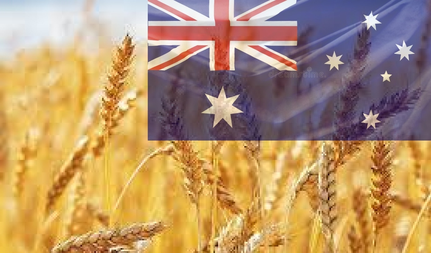 FAS USDA predicts a 26% reduction in the 2023/24 wheat harvest in Australia and a 30% reduction in barley