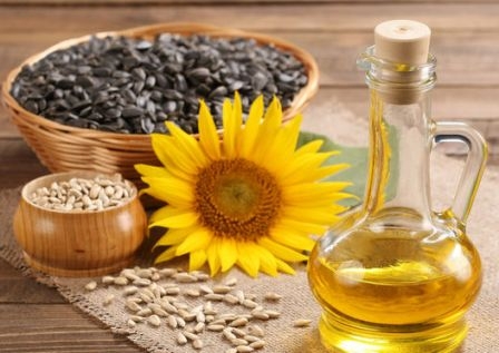 Production of sunflower oil due to high consumption annually grows by 7% 