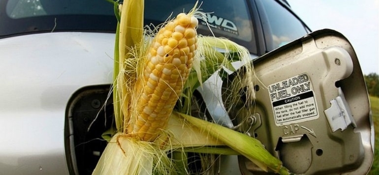 Сокращение производства этанола продолжает давить на цены на кукурузу