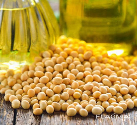 Ukraine continues to increase soybean exports and processing