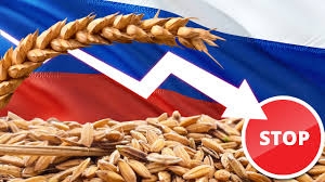 Restricting the supply of wheat from Russia led to a rise in stock prices
