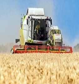 Projections of wheat production for the EU, Ukraine and Russia increased