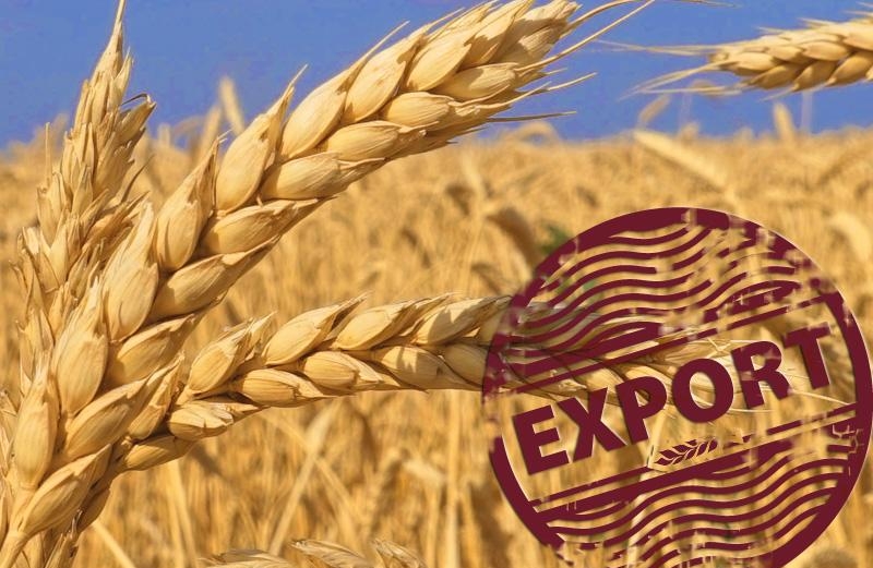 The share of agricultural products in Ukrainian exports in 2020 reached a record 45% 