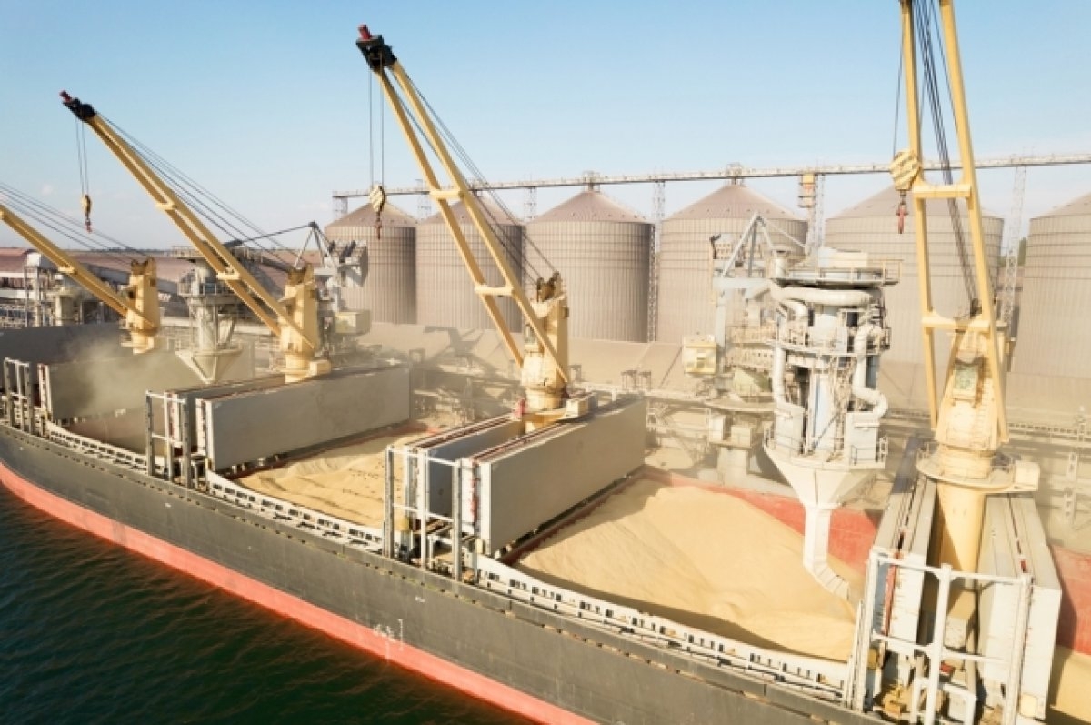 Украина наращивает экспорт через морские порты благодаря обеспеченной ВСУ работе зернового коридора
