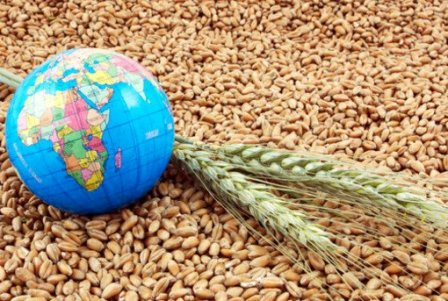The reduction in exports is putting pressure on wheat prices