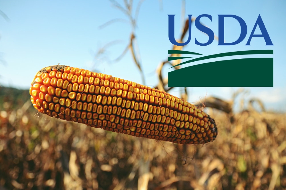 The USDA again lowered its forecasts for world corn production, consumption and stocks