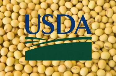 Prices for soybeans rose after the USDA balance 