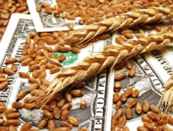 Тенденция роста цены пшеницы в США прервалась