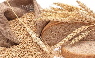 Активный экспорт остановил падение цен на пшеницу