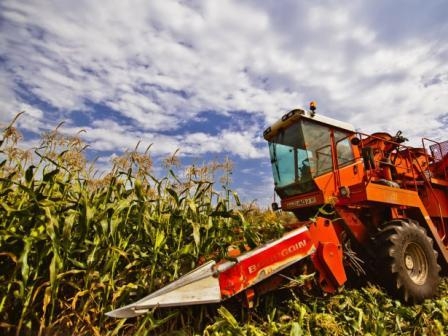 FAS USDA снизила прогноз урожая кукурузы и экспорта пшеницы из ЕС