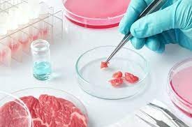 New technologies for the production of artificial meat will reduce the cost price