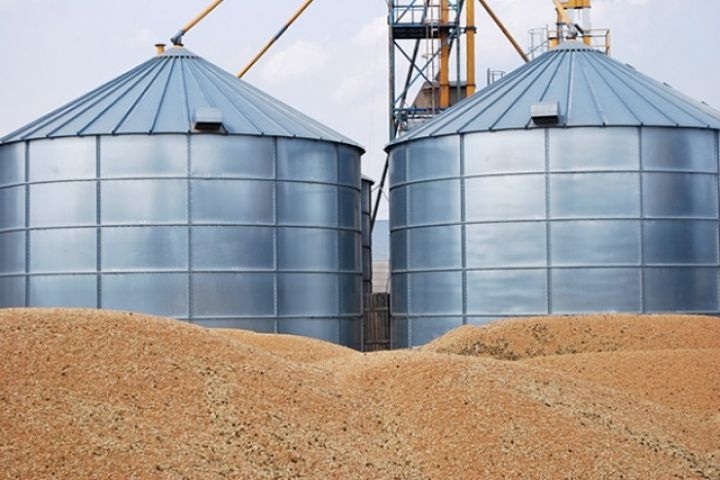 In March, Ukraine exported the largest monthly volume of grain during the war