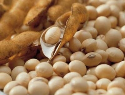 Experts USDA In the 2016/17 season global soybean production will break all records
