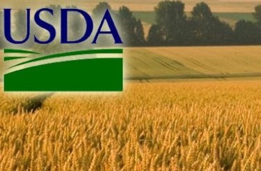 USDA again reduces forecast for global wheat production in 2018/19МГ