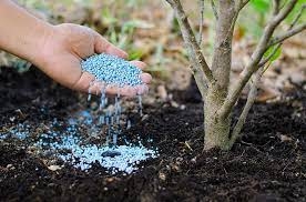 Ukraine increased exports of nitrogen fertilizers, despite their shortage in the domestic market