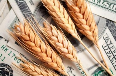 Prices for U.S. wheat have shot up