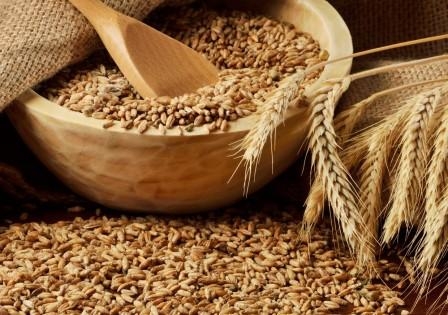 FAO downgraded its forecast for world grain trade in 2016/17 MG to 393 million tons