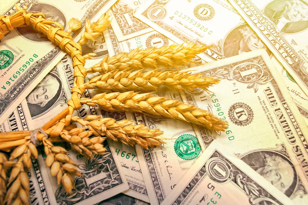 The stock price of wheat grow on weather factors