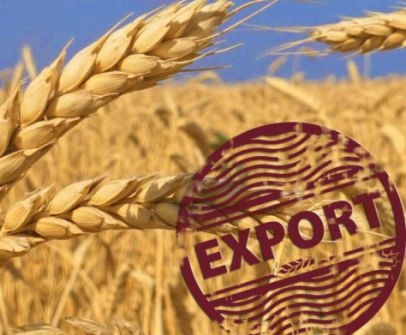 Темпы экспорта зерна в Украине превышают прошлогодние, в России - отстают