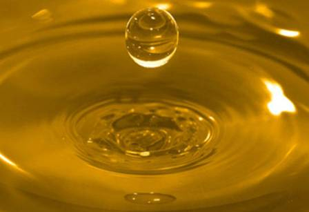 Ukraine continues increasing the exports of sunflower oil