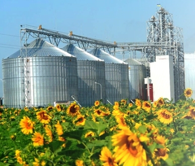 For 2016року Ukraine was raised by 18.7 million tons of oilseeds