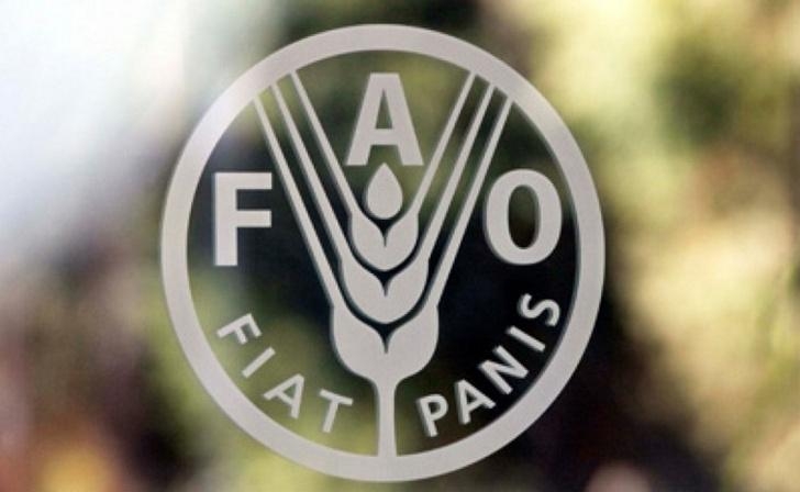 According to FAO, world food prices fell by 20% for the year
