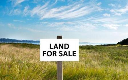 The Ministry plans to prohibit the buying of agricultural land in Ukraine to foreigners and businesses