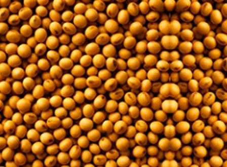 The increase in demand and export of soy inhibit the growth of prices