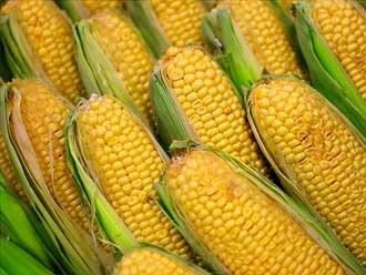 Corn prices are rising in the US and the EU fall