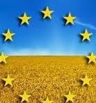 The grain harvest in Europe will decrease slightly for heat
