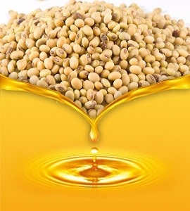 Against the background of falling prices for palm oil quotation of soybean oil rose sharply