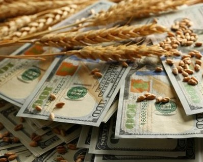 Wheat prices in the US again under the pressure of the weather