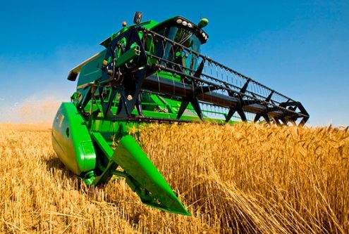 Прогнозы производства зерна в Украине и России растут