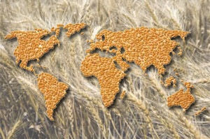Dry weather is becoming a factor of influence on the European grain market