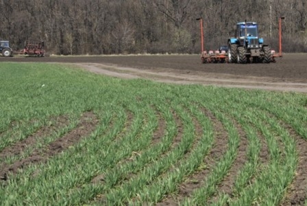 Посевная 2017: В Украине яровыми зерновыми засеяно 5,5 млн га 